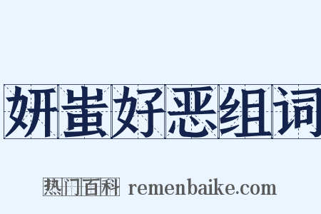 妍蚩好恶组词是什么意思的图片